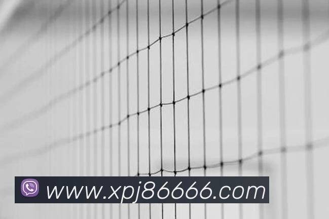 xpjAPP 封面图
